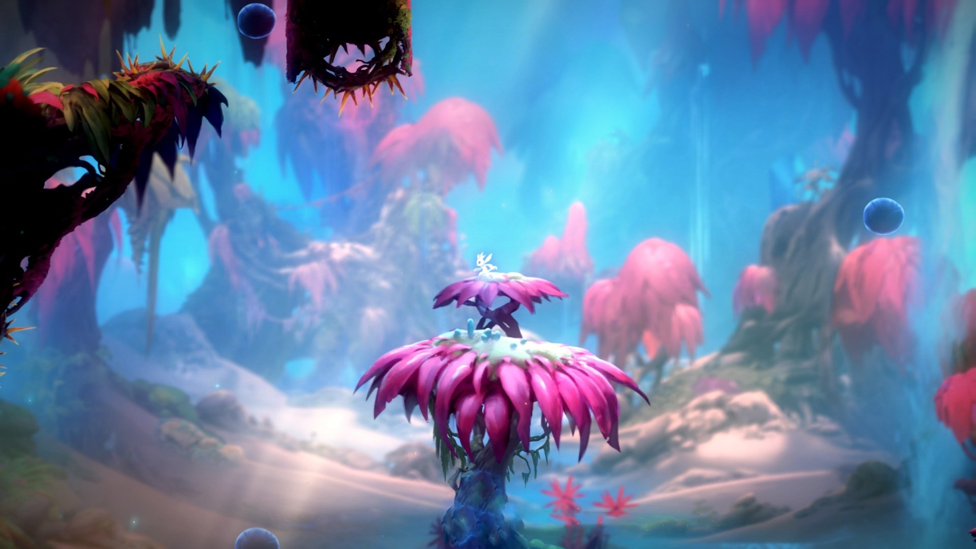 CBA联盟致力于推动篮球运动在全国普及,cba篮球职业联赛