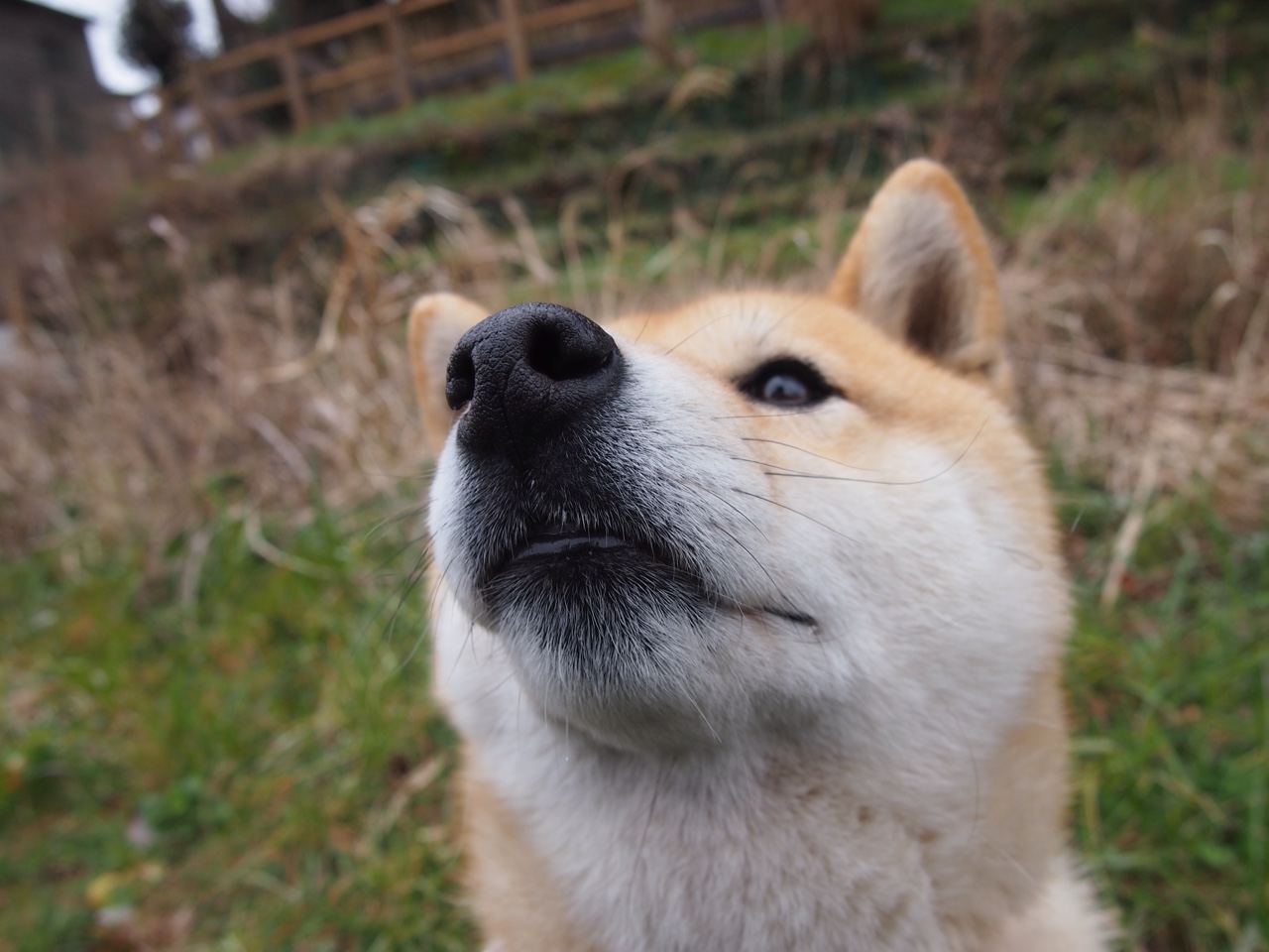 “2025世界运动会:高新区全民健身馆短柄墙球赛,引领新潮流!”