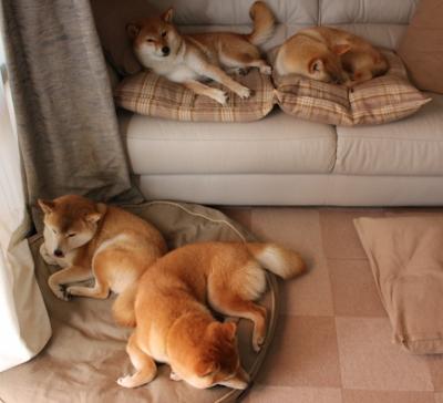 “多特惜败皇马，欧陆内战惨烈”