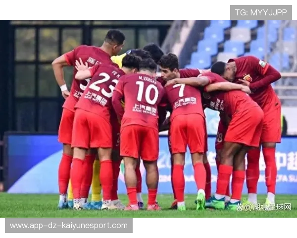 上海海港新援表现获得认可，上海海港新外援受伤