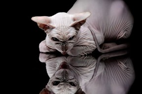 开云体育俱乐部官网-奥预赛中国女足爆冷 球迷提出批评建议，中国女足奥预赛集锦