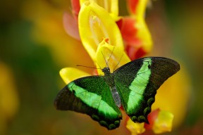开云APP-东亚杯中国足球平局 球员需要提升临场应变能力，东亚杯国足成绩