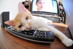 开云体育在线赛事直播-CBA球队战术多样化 比赛观赏性提升，cba常用战术