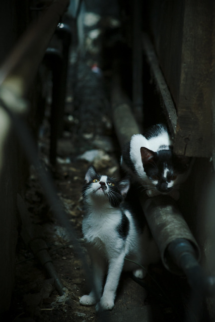 全运会媒体传播引入VR技术提升观赛体验，全运会赛事指挥和新闻媒体中心