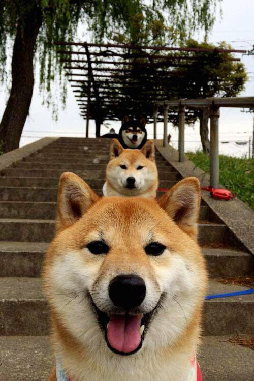 博塔弗戈频繁犯规,难以控制节奏,博塔弗戈对福塔雷萨