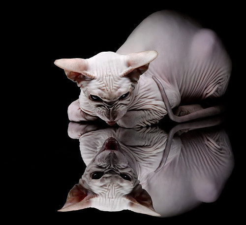 奥预赛中国女足爆冷 球迷提出批评建议，中国女足奥预赛集锦